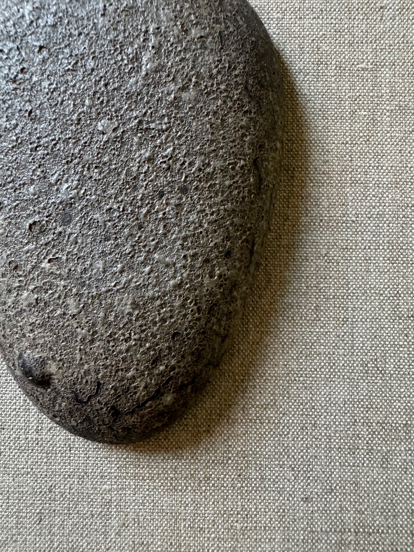 Collection | Totems #404 MINI